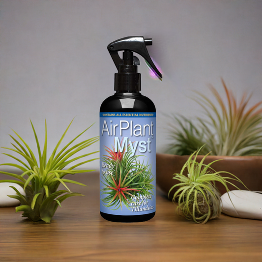 Air plant myst spray