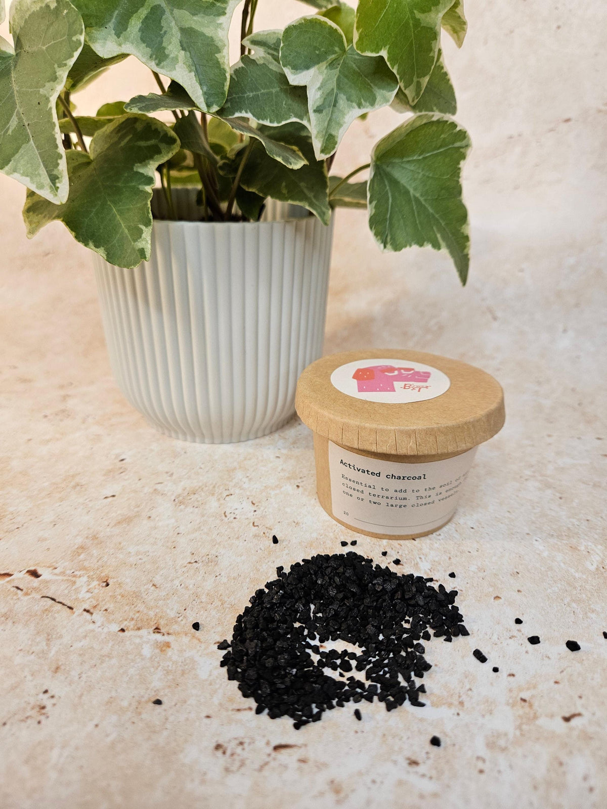 Activated Charcoal for Indoor Plants