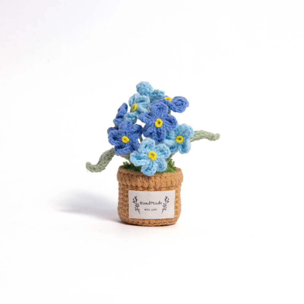 Forget-Me-Not Handmade Crochet Plant Gift