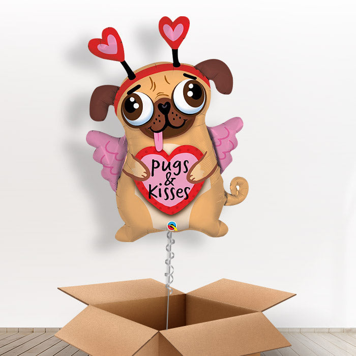Giant Pug Balloon in a Box - Giant Balloon | Small Indoor Plants