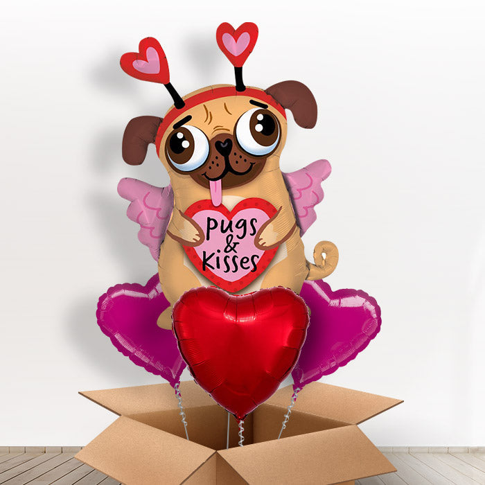 Giant Pug Balloon in a Box - With 3 Themed Balloons | Small Indoor Plants