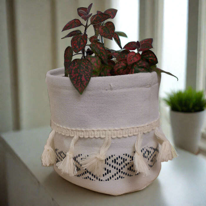 Red Polka Dot Plant (Hypoestes Phyllostachya Red) - Plant and Cotton Tasselled Pot Cover | Small Indoor Plants