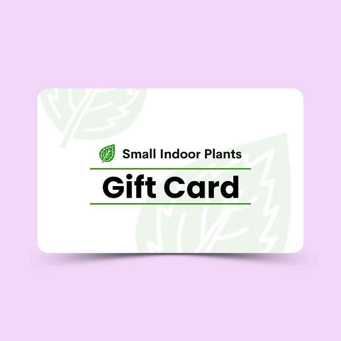 Small Indoor Plants Gift Card Small Indoor Plants
