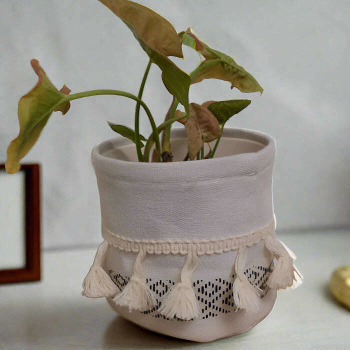 syngonium-infra-red-arrowhead-plant-small-indoor-plants-doO