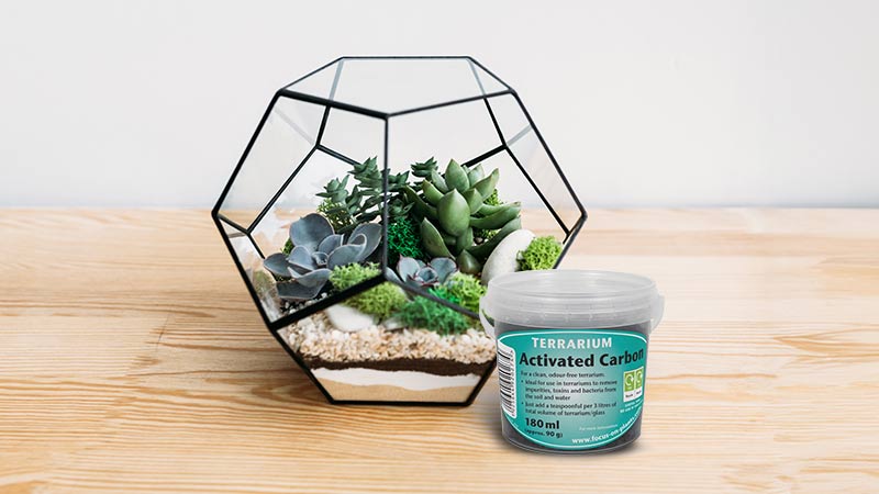 Activated Charcoal for Terrarium