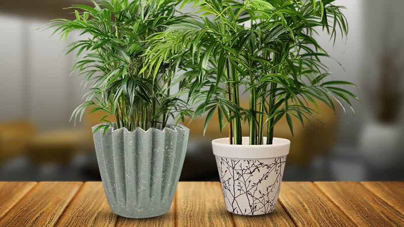 Bamboo Plant Pots