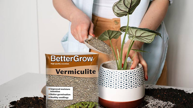 Buy Vermiculite for Plants