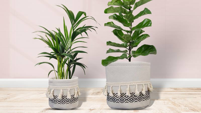 Fabric Plant Pots