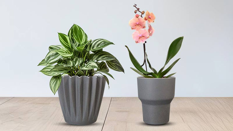 Grey Plant Pots