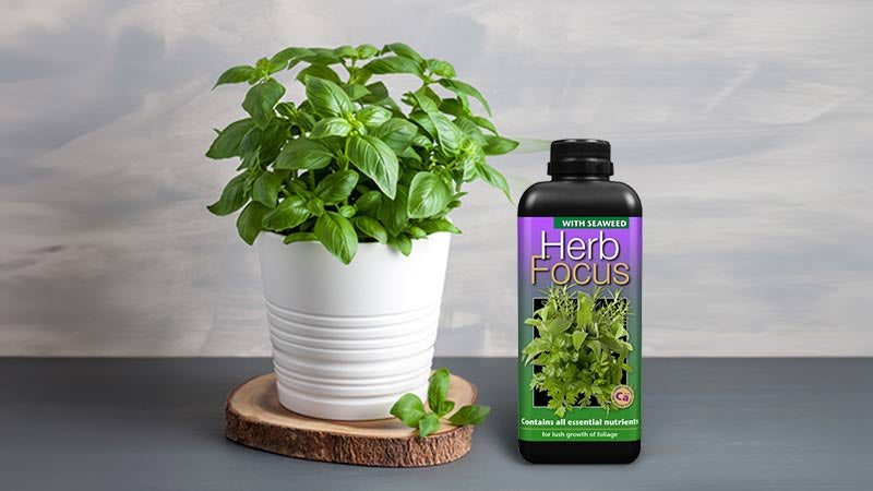 Herb Feed & Fertiliser