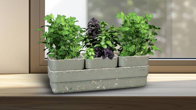 Indoor Herb Plant Pots