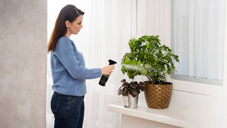 Indoor Plant Bug Spray