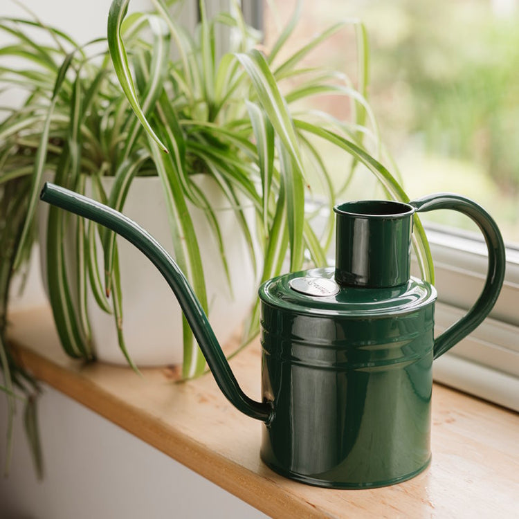 Indoor Watering Can