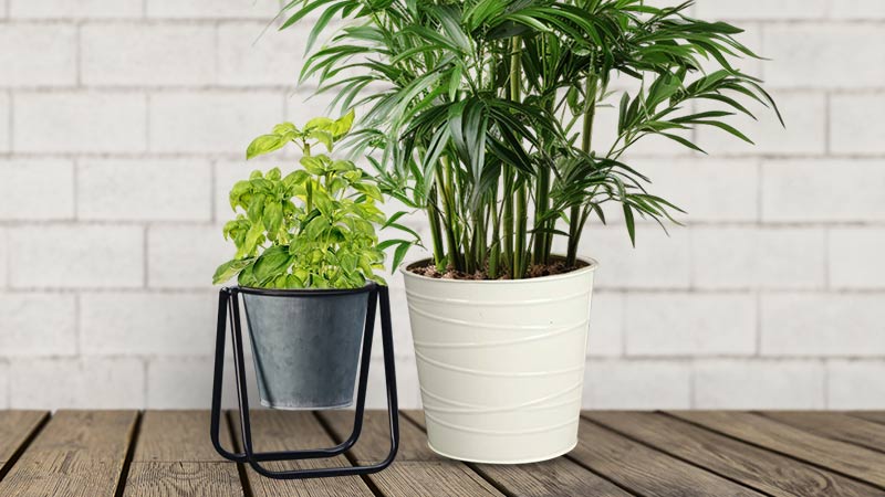 Metal Plant Pots