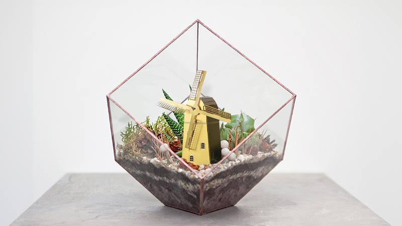 Terrarium Decor