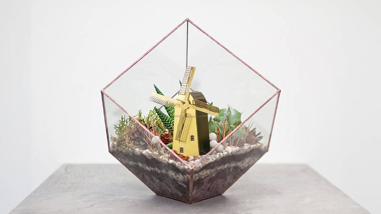 Terrarium Decor