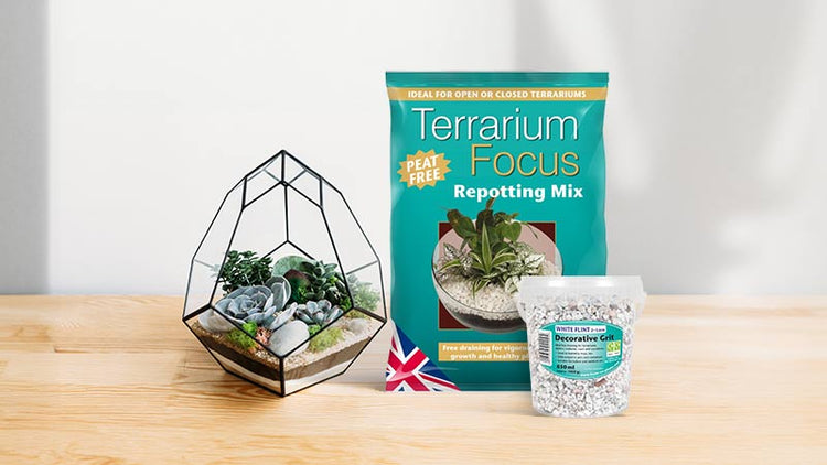 Terrarium Substrate