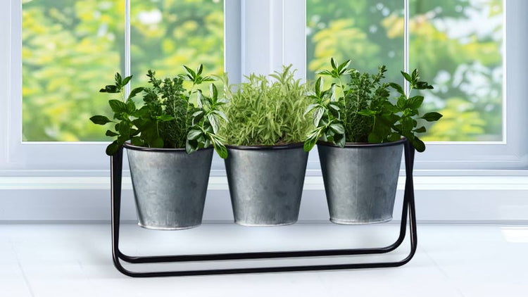 Windowsill Plant Pots