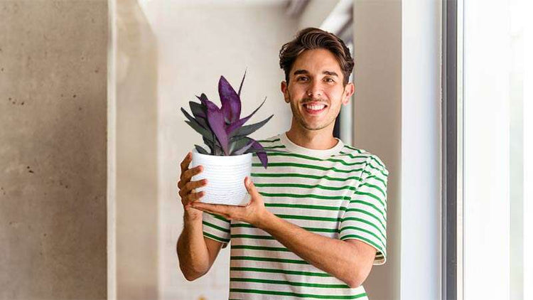 Congratulations Plants