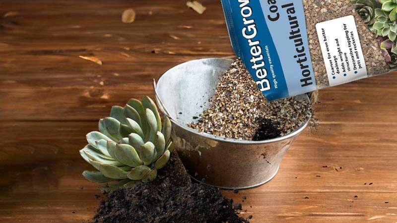 Horticultural Grit for Plants: For Terrariums & Pot Toppers