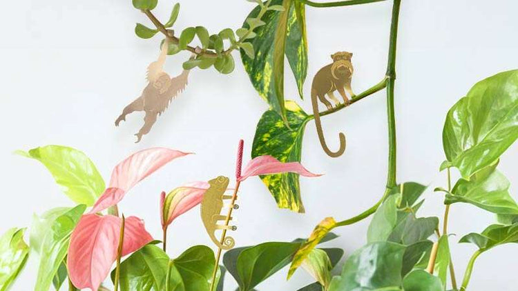 Plant Pot Hanging Animals