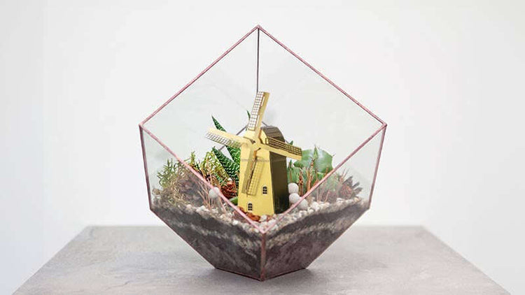 Terrarium Decor