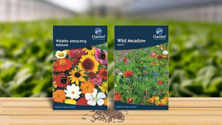 Wildflower Mix Seeds
