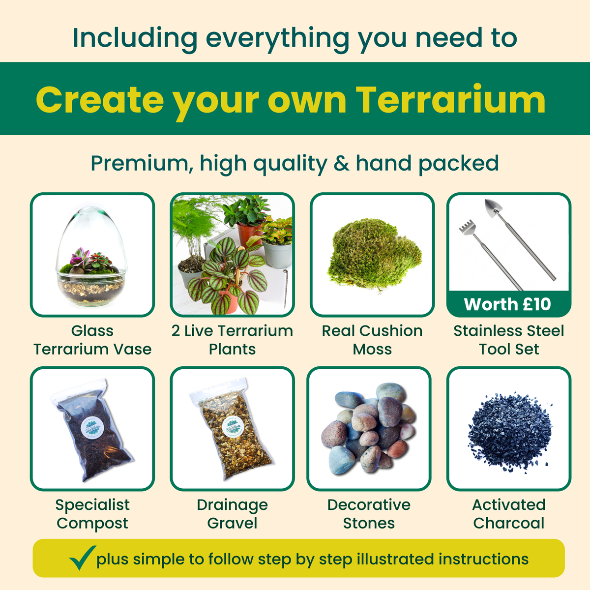 The Egg - All Glass Two Piece Terrarium with Living Plants