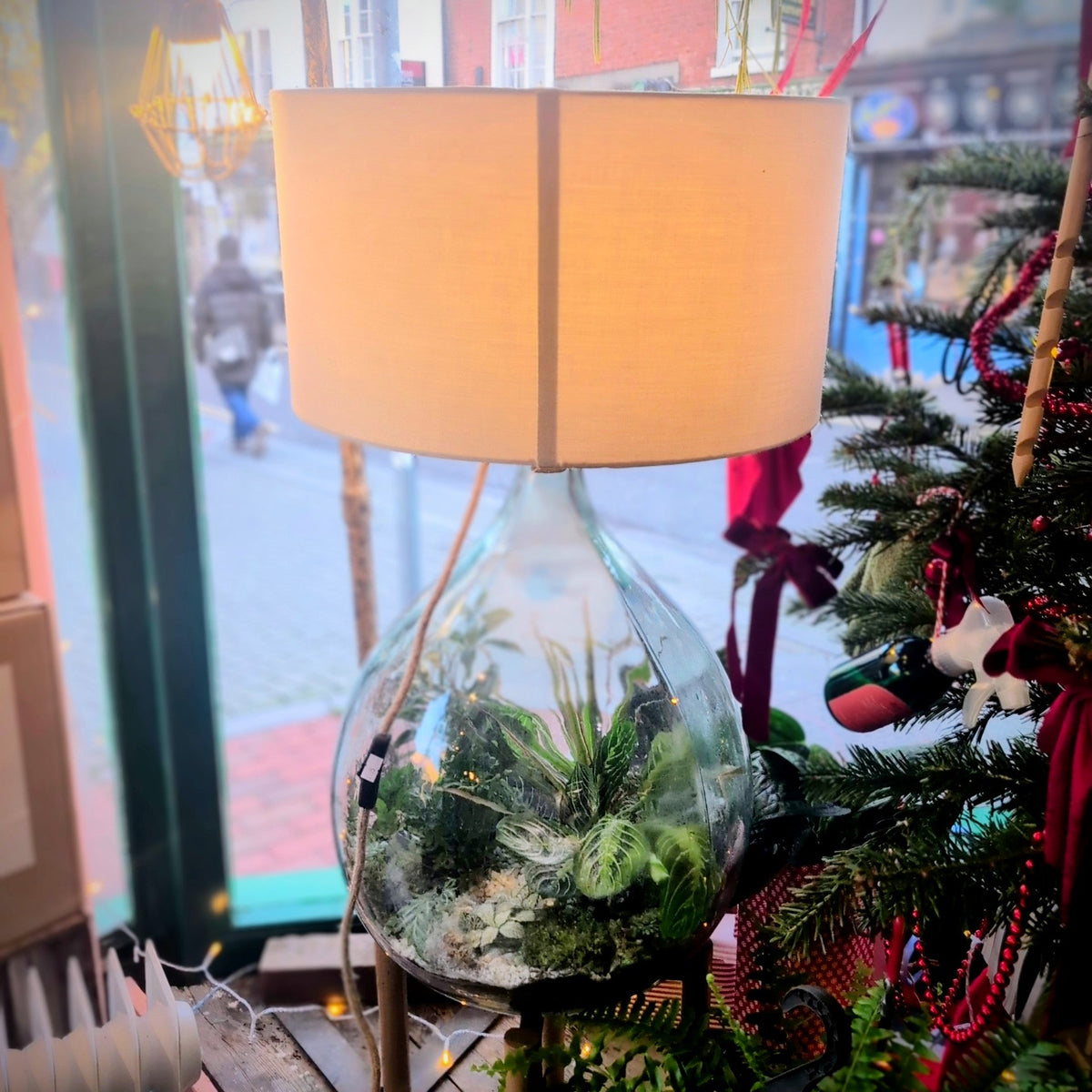 DIY Glass Terrarium Table Lamp
