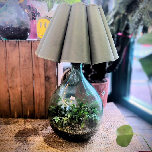 DIY Glass Terrarium Table Lamp