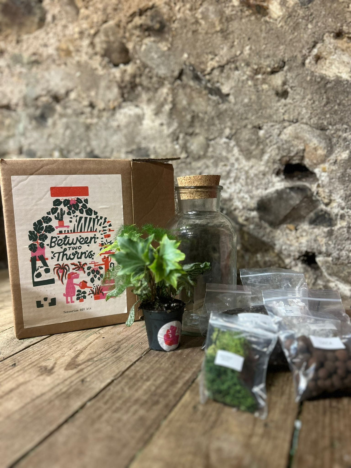 DIY Buid Your Own Closed Terrarium Kit - Two Sizes!