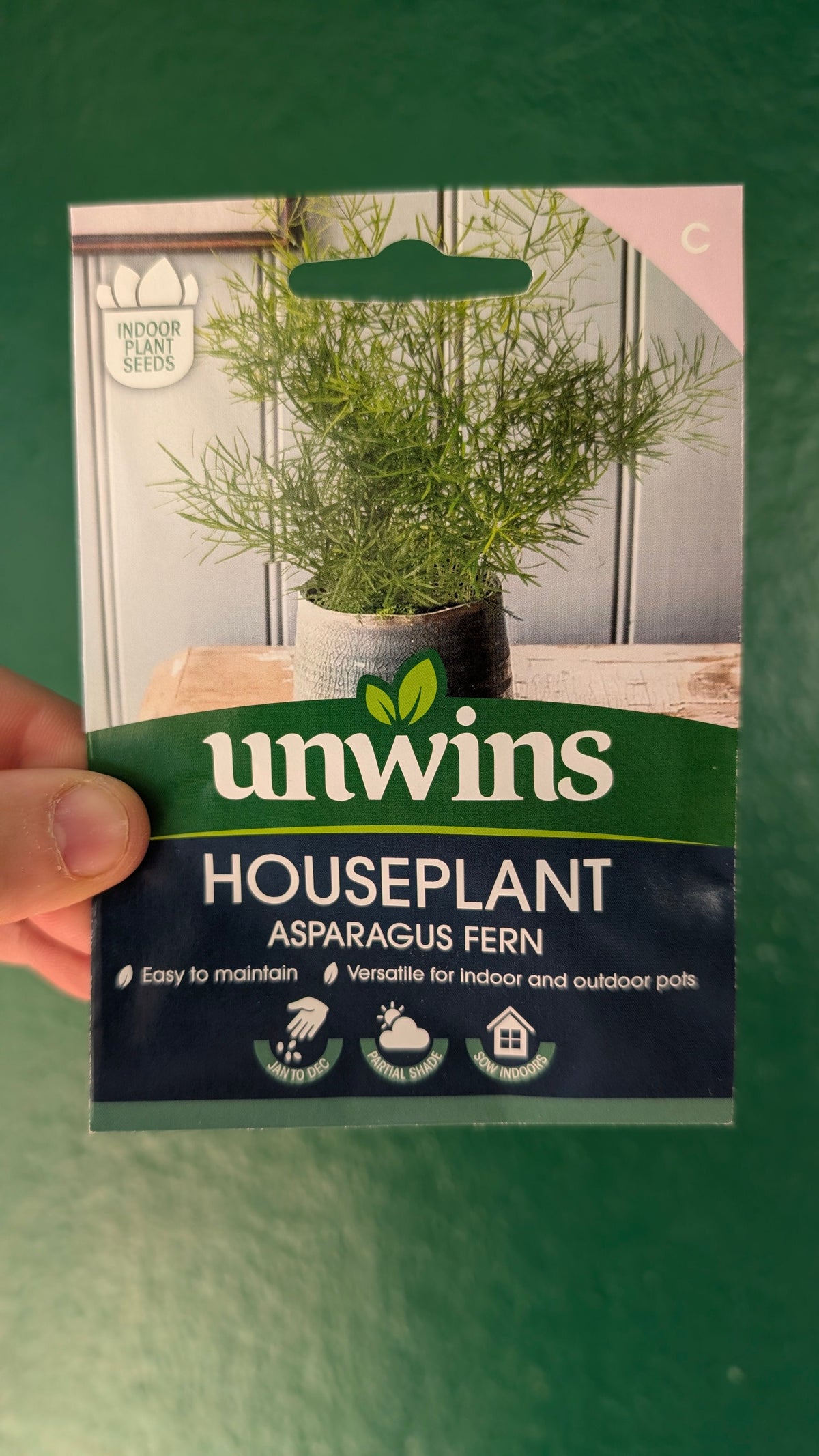 Indoor Houseplant Seeds - Fern, Strelizia, Hypoestes, Cat Grass, Spider Plant