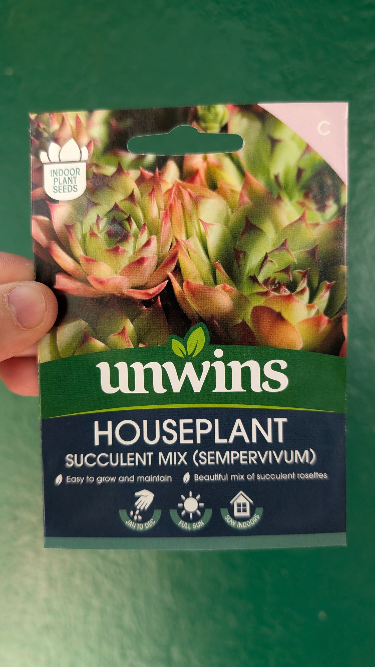 Indoor Houseplant Seeds - Fern, Strelizia, Hypoestes, Cat Grass, Spider Plant