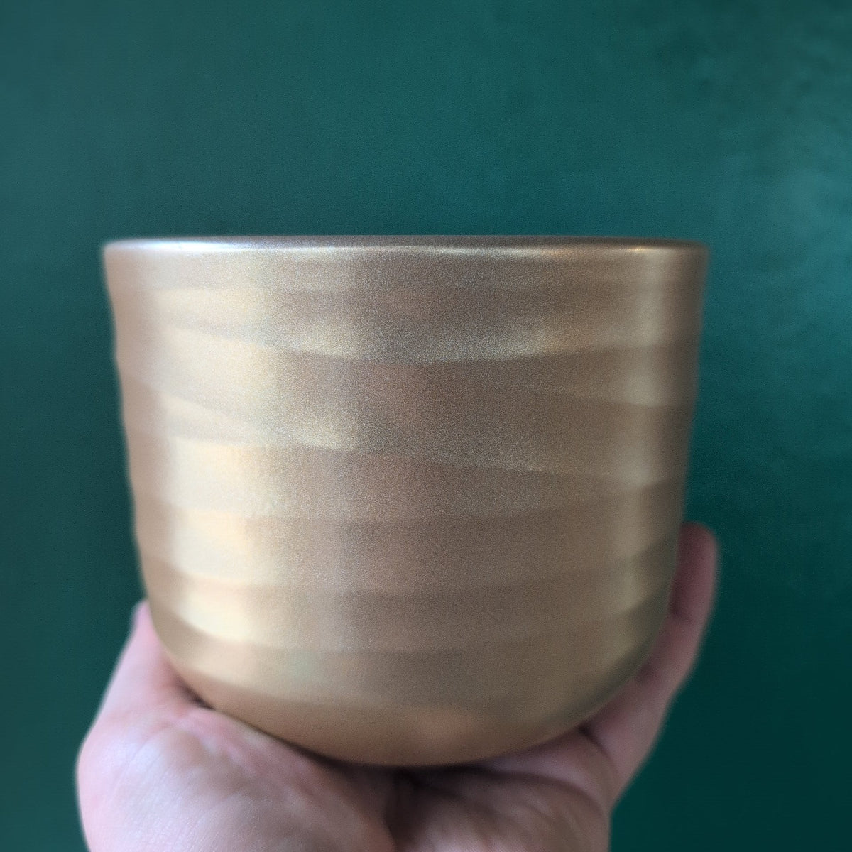 Poinsettia Ripple Effect Plant Pot Pot