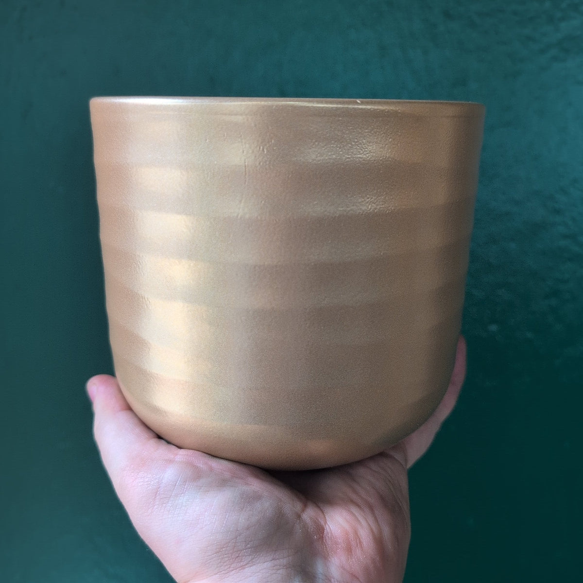 Poinsettia Ripple Effect Plant Pot Pot