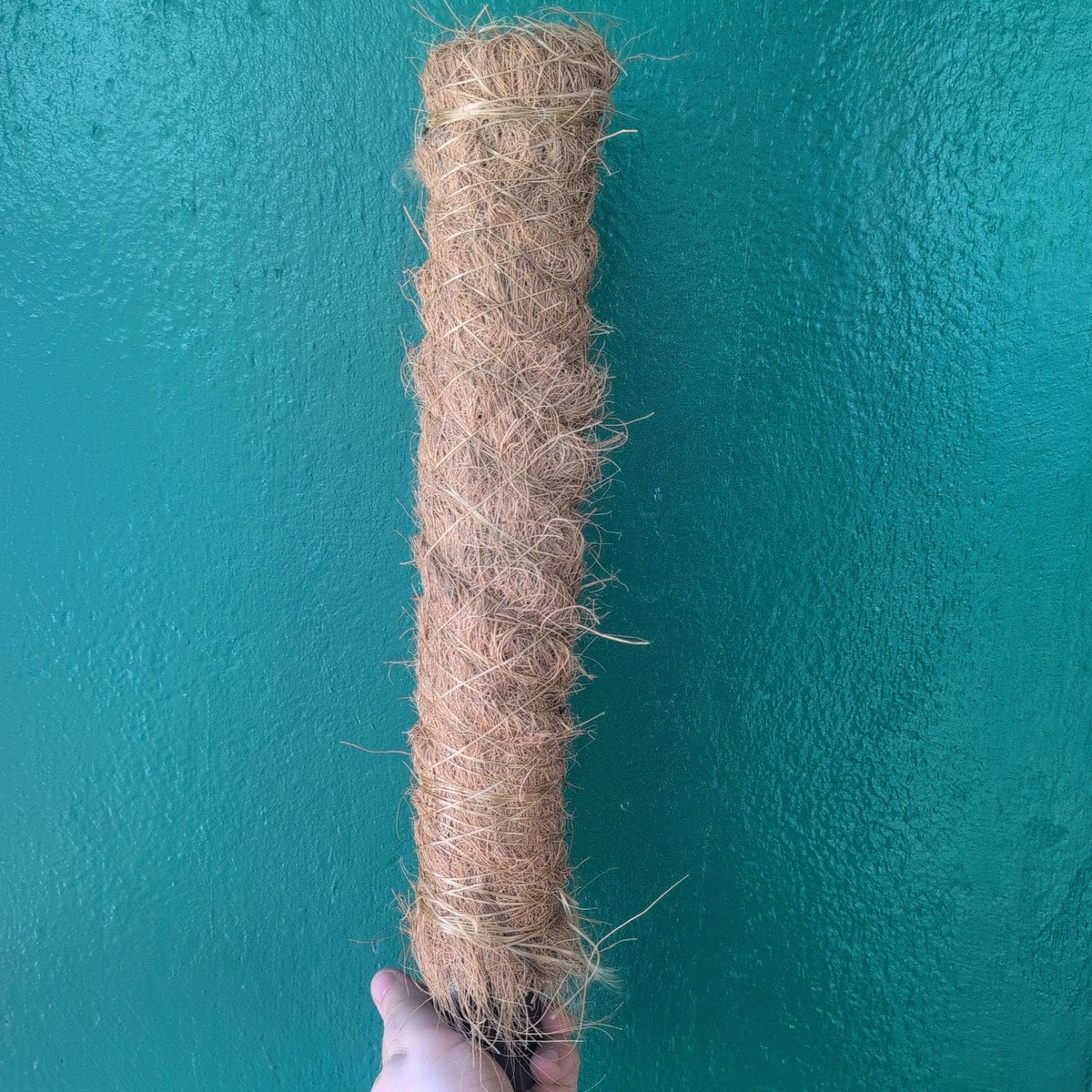 Moss Poles