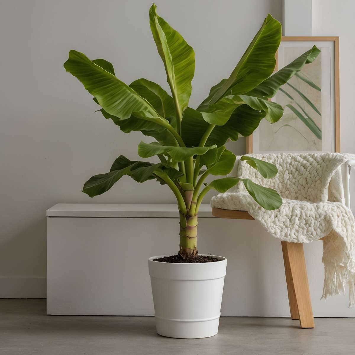 1001212_Atmosphere_01_SQ_b318eea8-e82a-4d20-ba6c-09ba83030513