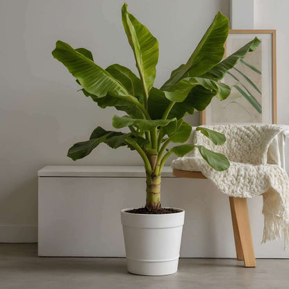 1001212_Atmosphere_01_SQ_b318eea8-e82a-4d20-ba6c-09ba83030513