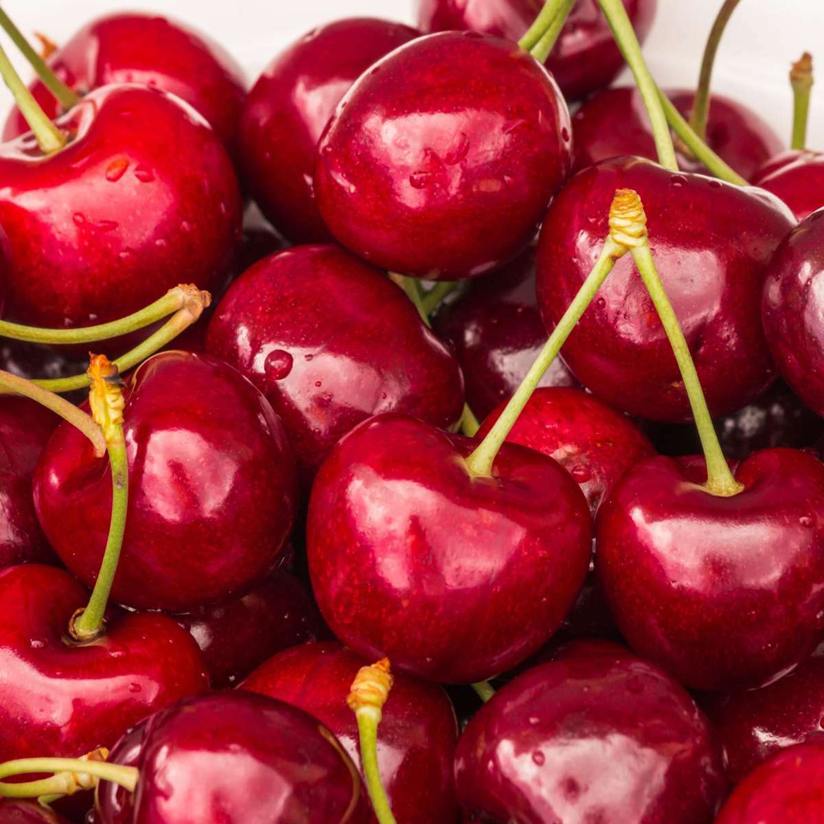 1018231_Atmosphere_02_SQ