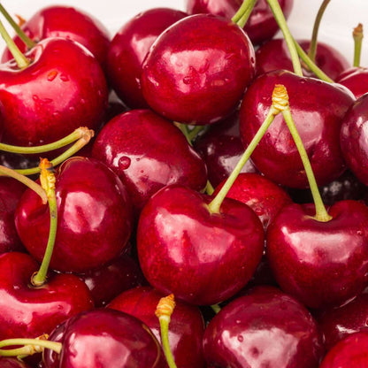 1018231_Atmosphere_02_SQ