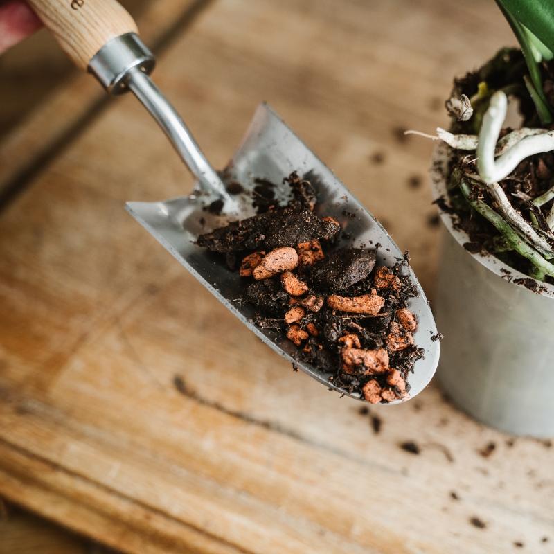 Westland orchid compost on a hand spade