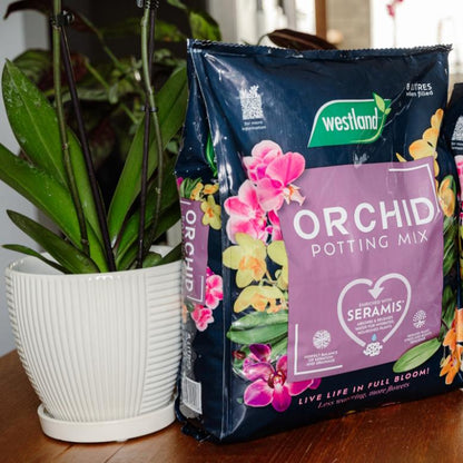 Westland orchid compost