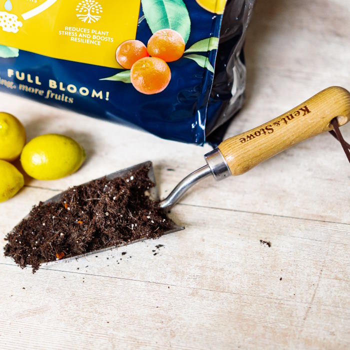 Westland Citrus Potting Mix Peat Free on a hand spade