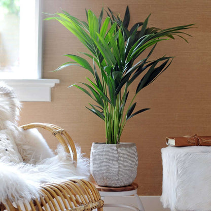 1110002_Atmosphere_02_SQ_34c8f092-4257-4ff9-9ea6-dfd2c90b226a