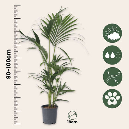 1110002_Sizeindicator_01