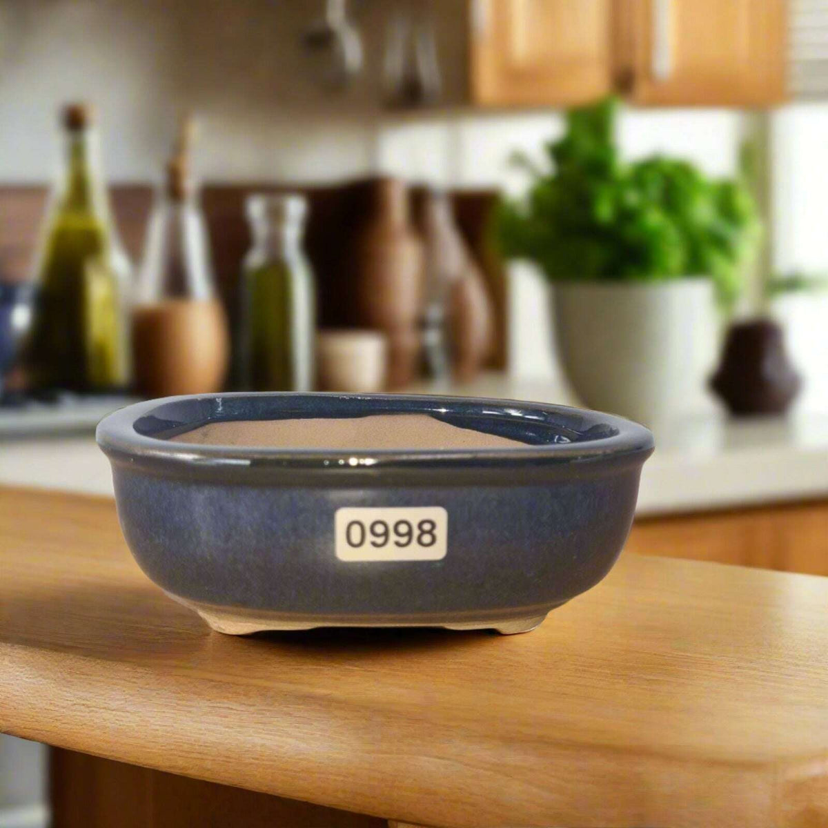 12cm_Glazed_Bonsai_Pot_Oval_12cm_x_10cm_x_5cm_Blue_-_Yorkshire_Bonsai-15514