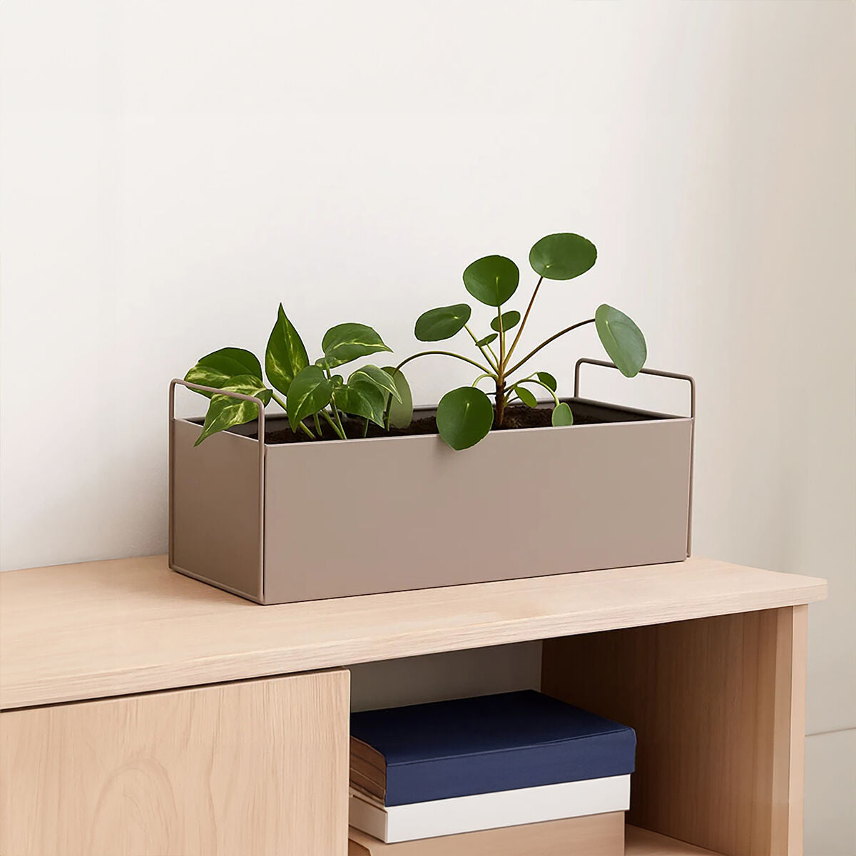 Asher Natural Metal Large Wall Plant Box