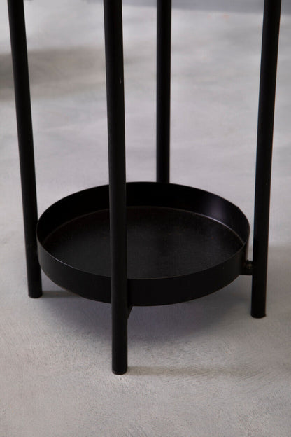Asher Black Metal 2 Tier Plant Stand
