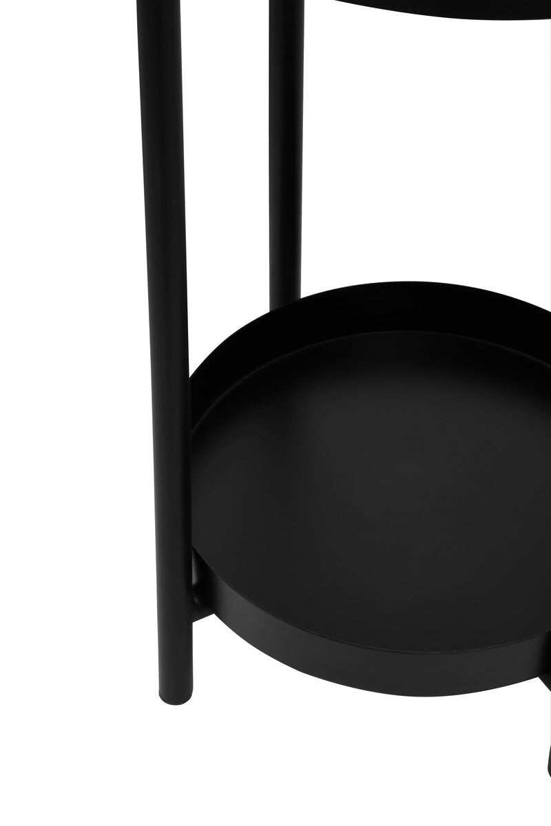 Asher Black Metal 2 Tier Plant Stand