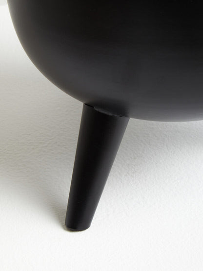 Black Vase | Alina